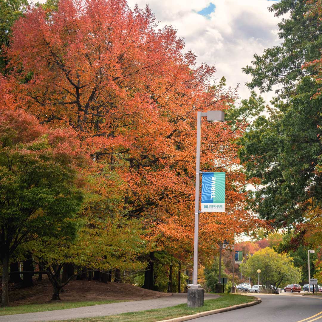 Autumn leaves are visible on the trees around the main road to Edison campus.